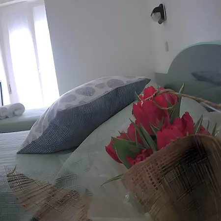 Concordia Hotel Rimini